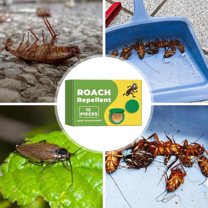 🥇ODALIT™ Plant-Powered Roach Repellent (Pet & Kid Friendly)